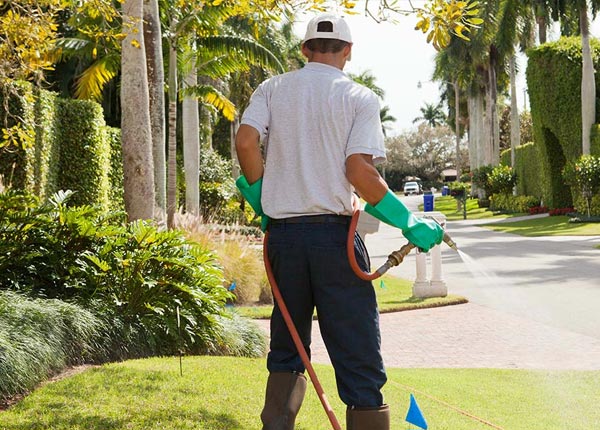About Skokie IL Pest Control